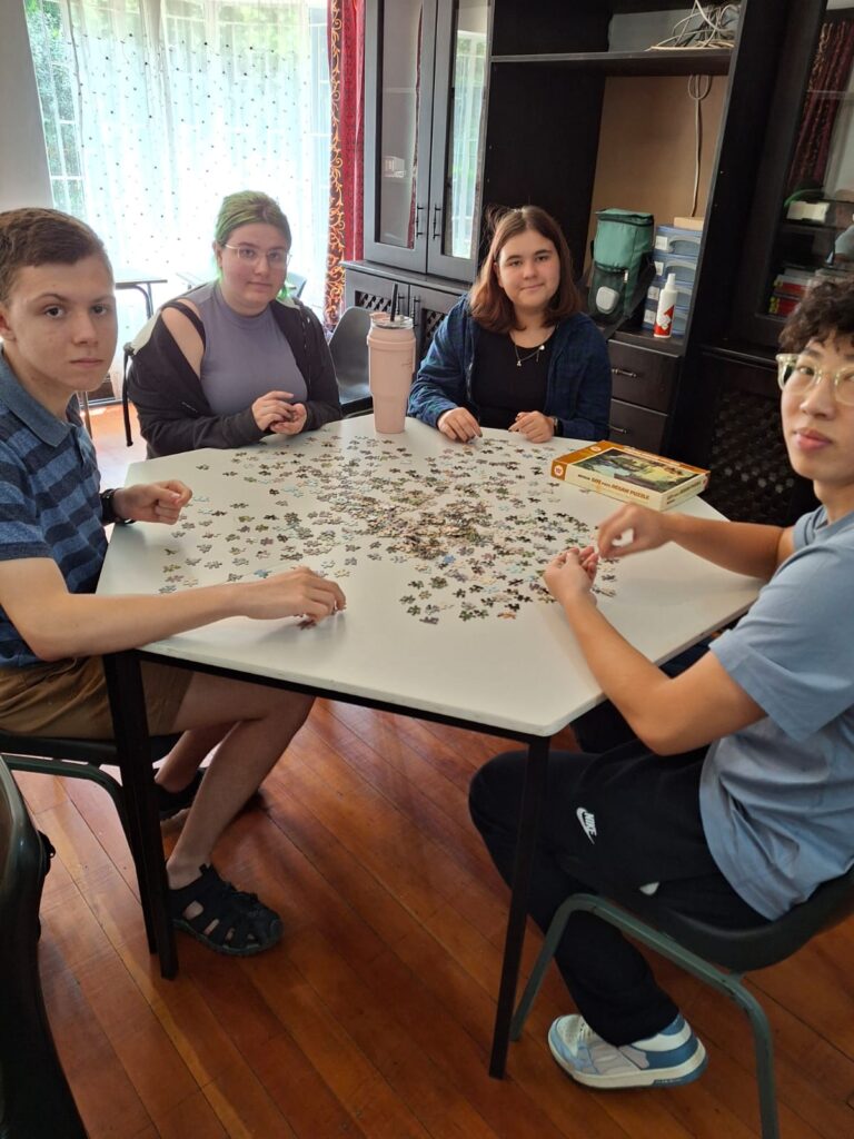 Puzzle-building competition.